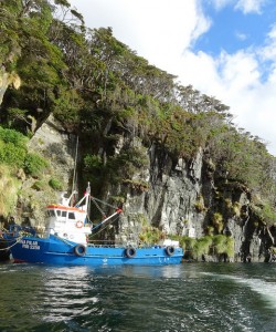 Close quarters for the Doña Pilar