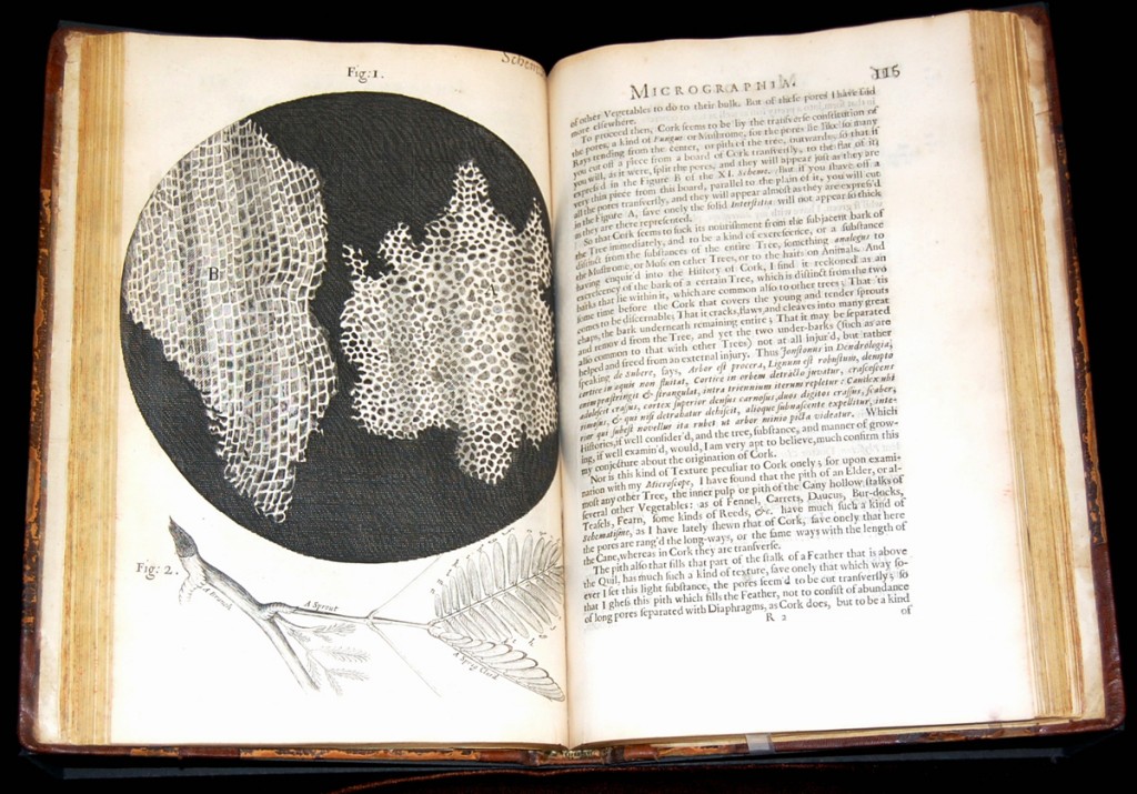 Microscopic structure of cork bark, from Robert Hooke’s “Micrographia” (1665)