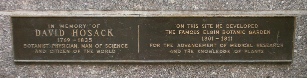 Hosack Plaque