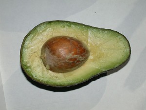 Avocado fruit