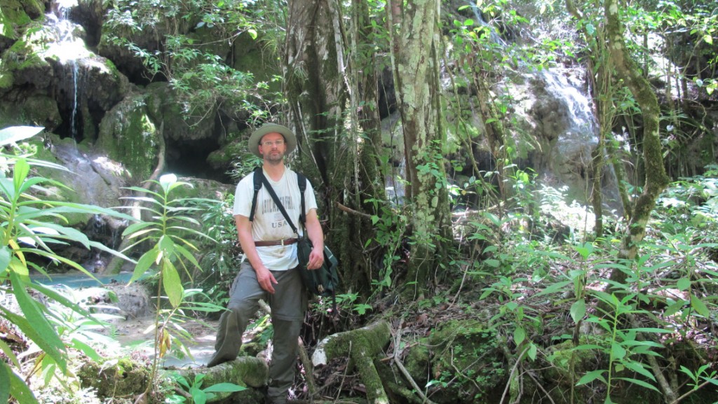 Benjamin Torke is an Assistant Curator of Plant Sciences at the New York Botanical Garden