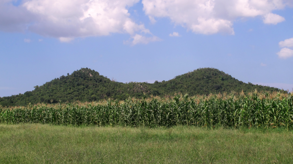 The Mogotes de Jumagua, surrounded by agricultural fields and pasture