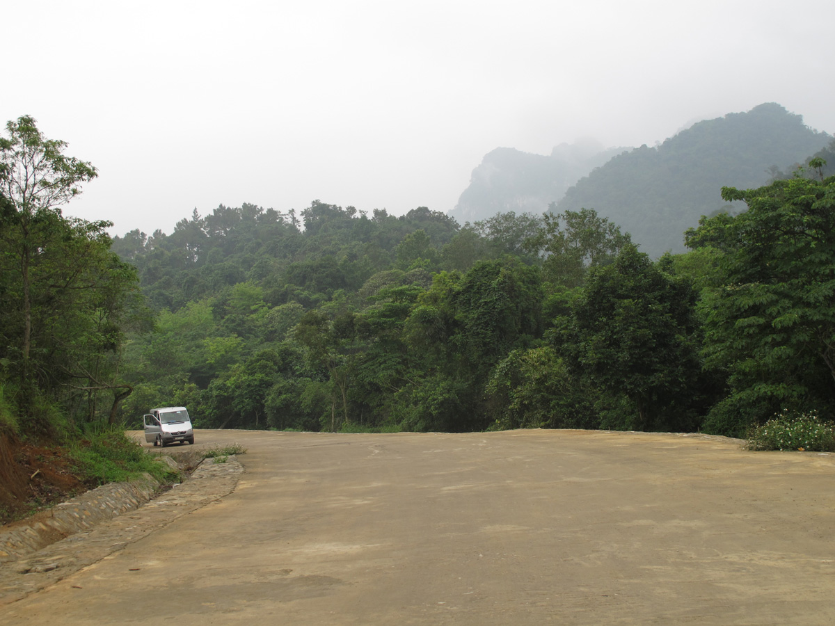Bursera tonkinensis_habitat1. Forest on steep slope of karst mountain in Cuc Phuong National Park.