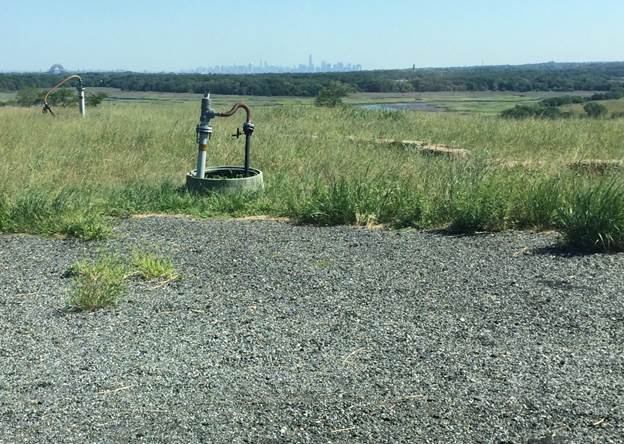 Freshkills Park