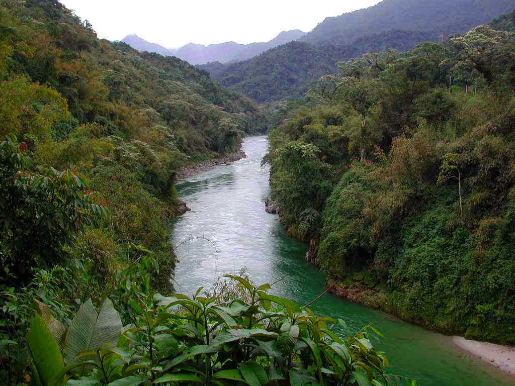 Part of Myanmar’s Vast Forested Area