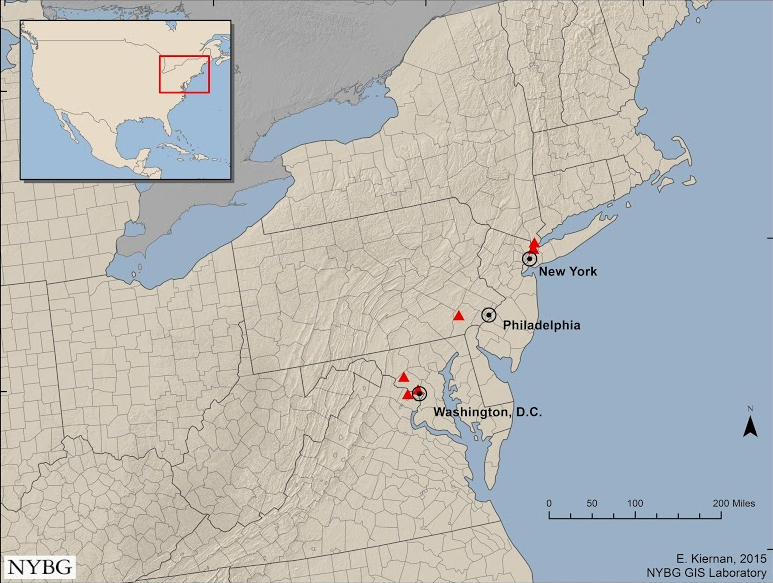 Wild Populations of Incised Fumewort in North America (Elizabeth Kiernan, 2015)