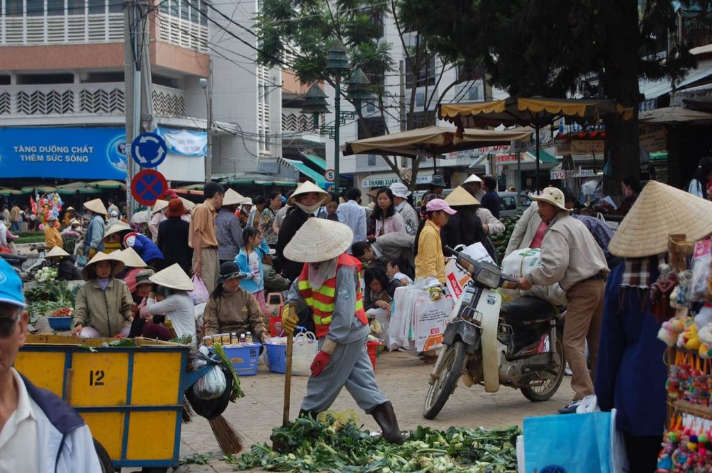 Vietnam’s distinctive conical hats are made from a native palm.