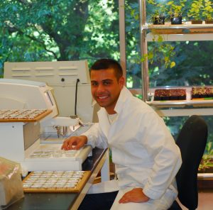 Lehman College Master’s degree graduate Dario Cavaliere studying anatomy of the sesame family in NYBG’s Plant Research Laboratory.