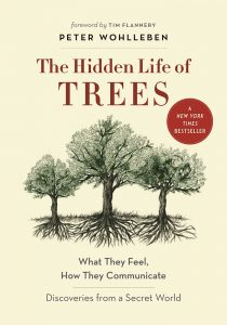 Hidden Life of Trees[1]