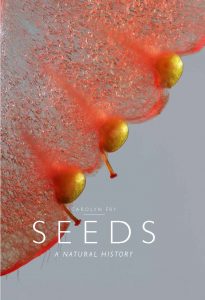 Seeds A Natural History