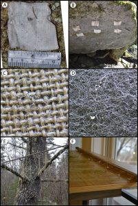 Lichen transplant methods use a variety of artificial surfaces