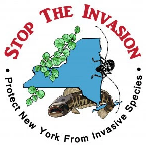 Stop the Invasion
