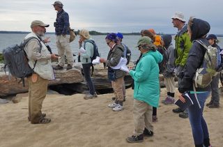 Several Urban Naturalist students working on a sandy shore.