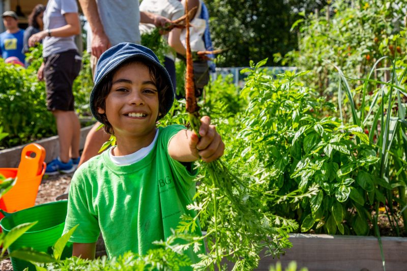 A boy holding up a carrot.