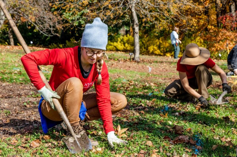 A photo of SoPH Student planting near Daffodil Hill