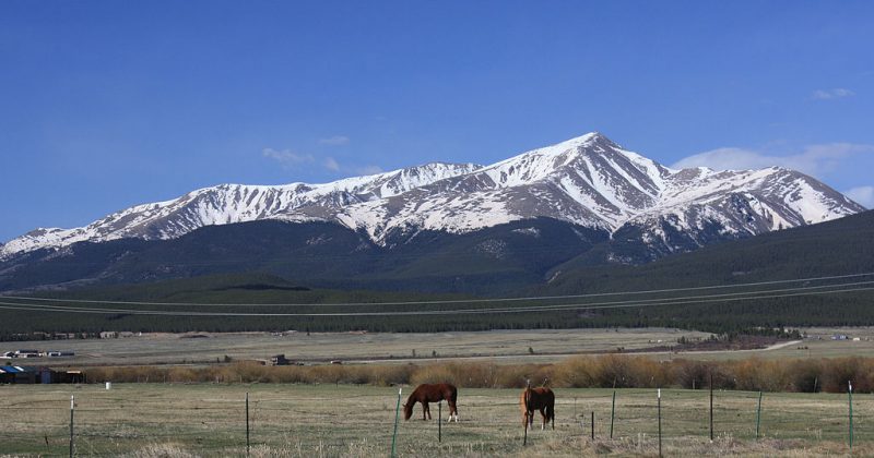 Mt Elbert and its visible tree line. 