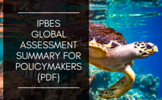 Image of IPBES assessment