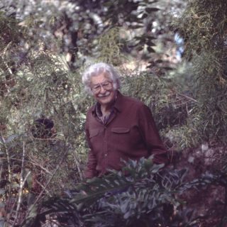 Photo of Roberto Burle Marx