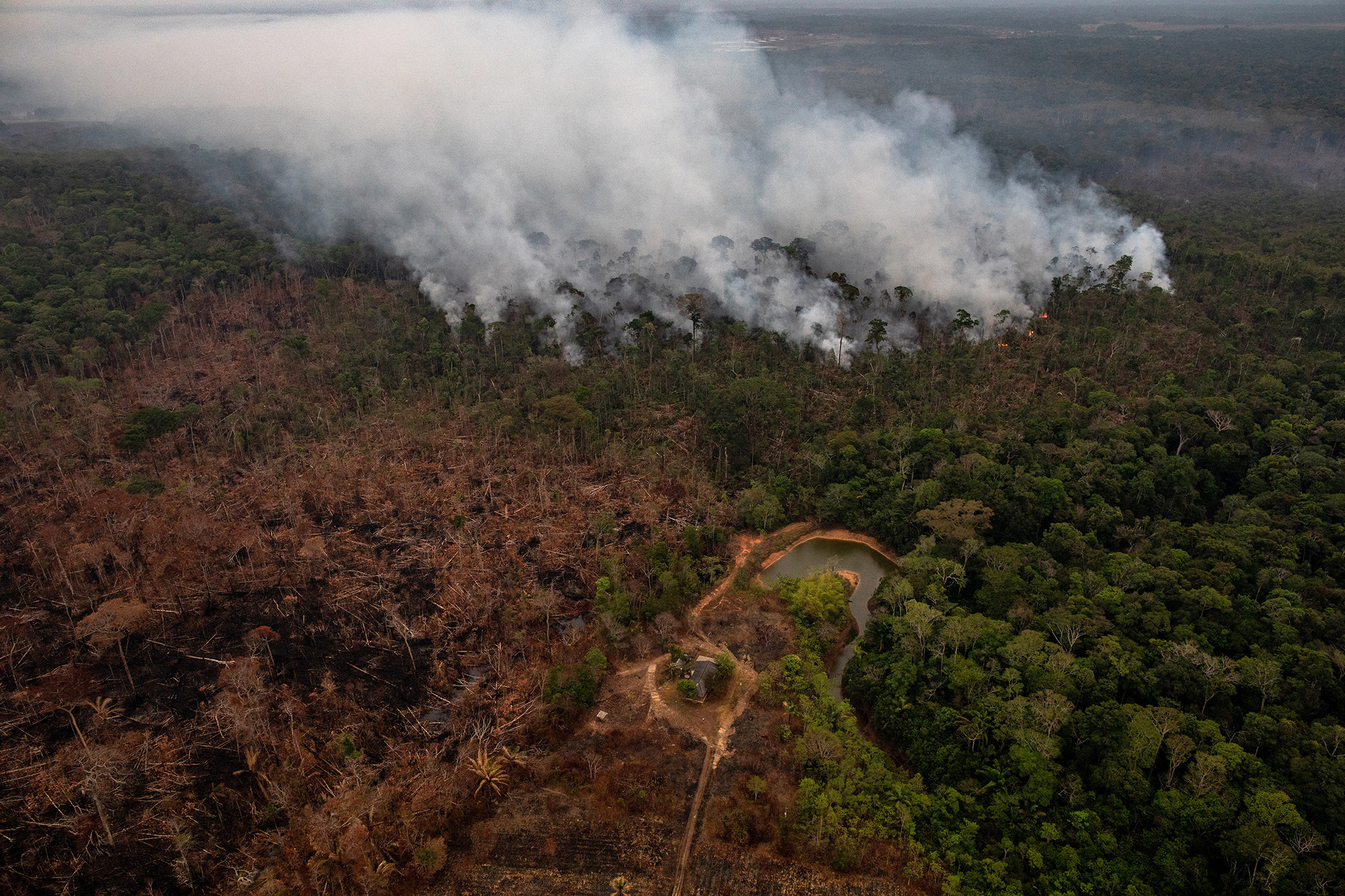 Rondônia,  Rainforest, Indigenous Tribes, Wild Fauna