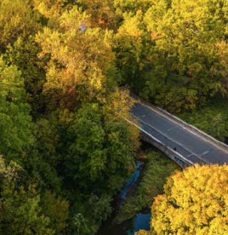 Drone photo of the Thain Family Forest