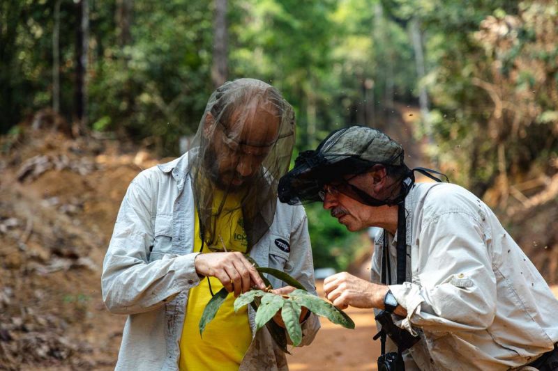 Photo of Doug Daly examining a tree leaf with a forester colleague in Brazil