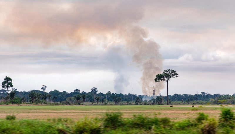 Photo of a forest fire in Rondonia