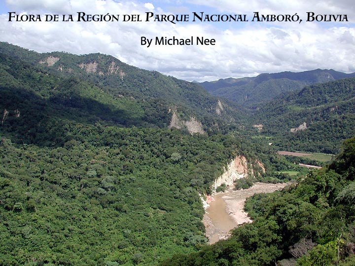 Flora de la Region Parque Nacional Amboro. By Michael Nee.