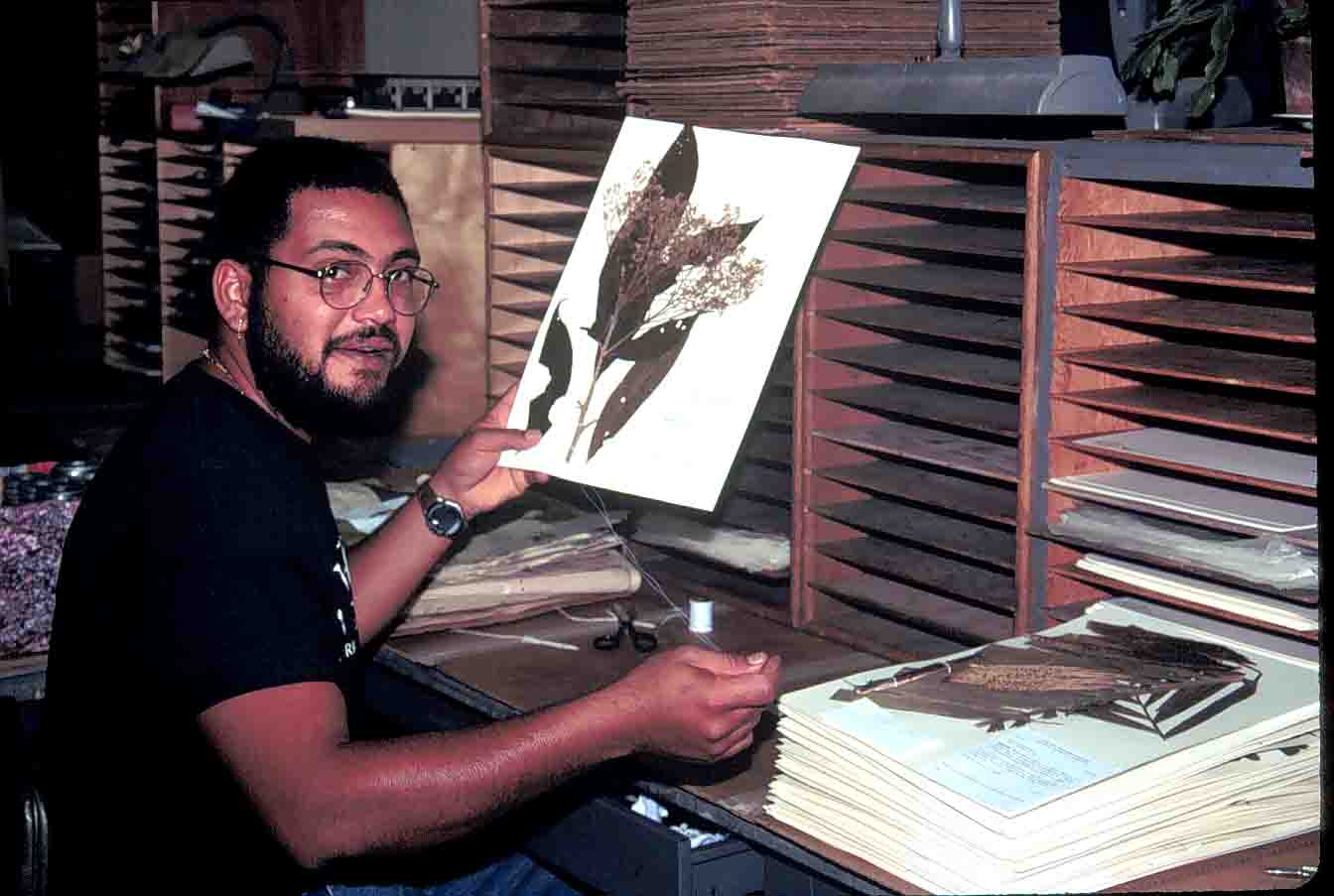 Belize intern Ramon Vargas mounting specimen