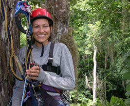 Dov Bock climbing a rain forest tree