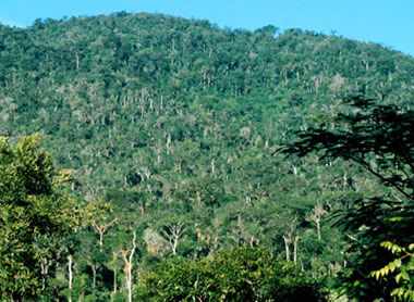 Serra do Teimoso Reserve