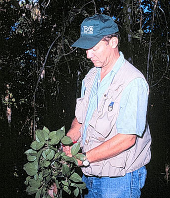 Wayt Thomas collecting in southern Bahia