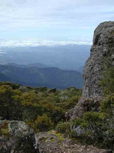 Paramo1.jpg - 14979 Bytes