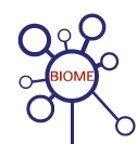 bmelg.gif - 4412 Bytes