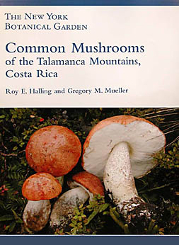 cover101.jpg - 33192 Bytes