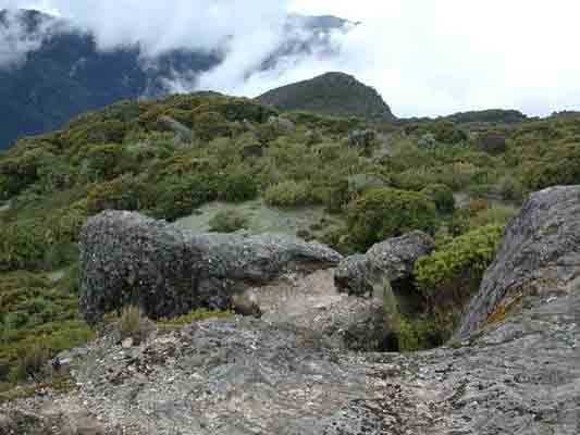 paramo2.jpg - 20833 Bytes