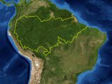 Image of South America highlighting the Amazon region