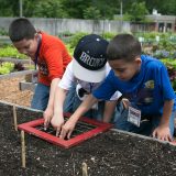 Three children planting seeds into soil.