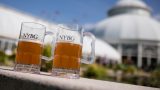 Two beer glasses placed in front of the Enid A. Haupt Conservatory.