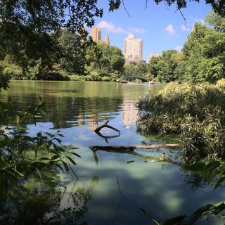 Photo of Central Park