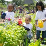 Three children watering plants.