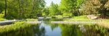 A view of the pools in the Native Plant Garden.