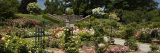 Photo of the Peggy Rockefeller Rose Garden