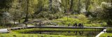 Photo of Native Plant Garden in spring