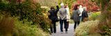 A group tour in the Perennial Garden during the fall.