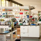 A lab at The New York Botanical Garden.