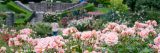 Photo of the Rose Garden