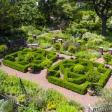 Growing a Culinary Herb Garden