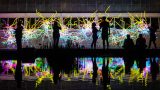 Photo of CHIHULY Nights