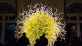 Photo of Chihuly