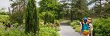 photo of perennial garden